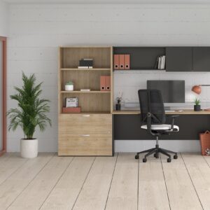 Bureau-professionnel-Concept300-2