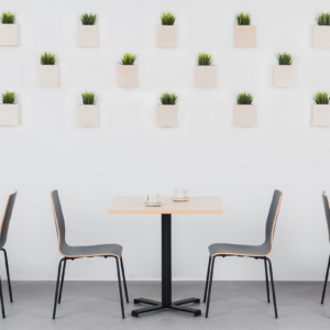 Cafeteria-Ply-TNX