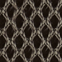 Drumback-bronze