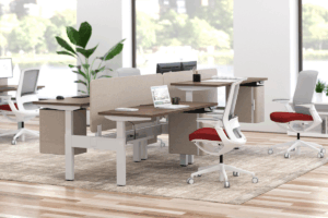 Bureau-benching-Vibe-1