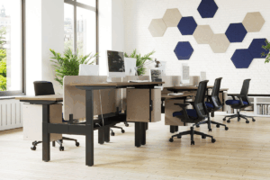 Bureau-benching-Vibe-2