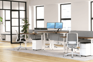Bureau-benching-Vibe-3