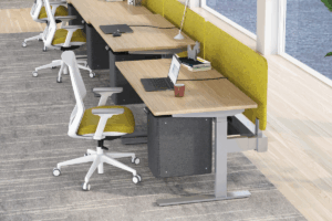 Bureau-benching-Vibe-6