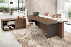 Bureau-direction-Oasi